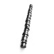 Camshaft 20950809